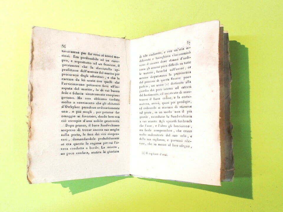 PASSEGGIATA INTORNO AL MONDO TOMO V ARAGO STAMPERIA ALLIANA 1829 - immagine 4